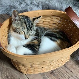 Meet your Posher, Courtney